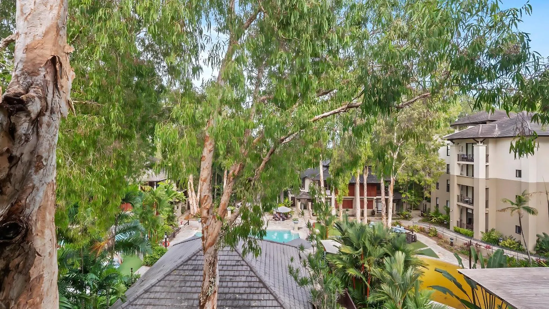 Private Apartments In The Temple Beachfront Resort Palm Cove Australia